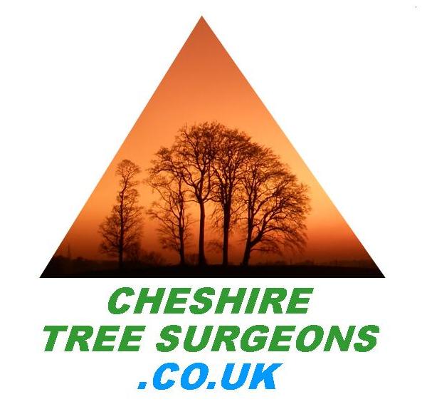 Arbornauts: Cheshire Tree Surgeons