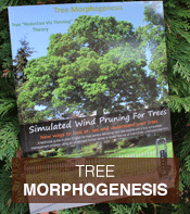 Tree Morphogenesis